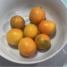 四条眉毛的头像-聚合库